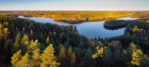 istock Peaceful panorama lake view with fall colors 652263404