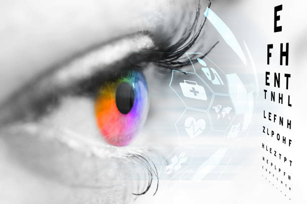 istock Ophthalmologist concept, checking eyesight with a visit to a specialist 652269418