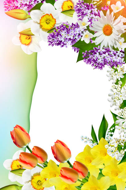 istock Holiday Spring card. Floral background. 652288016