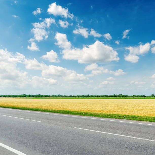 istock asphalt road along golden field under blue sky with clouds 652288924