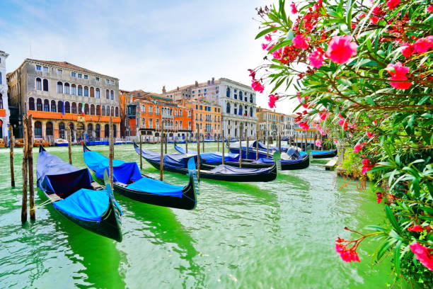 гондолы пришвартовылись на большом канале в венеции - gondola venice italy canal sailor стоковые фото и изображения