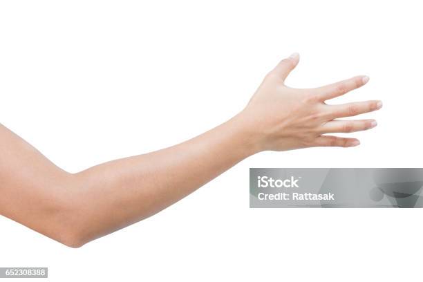 Right Back Hand Of A Woman Trying To Reach Or Grab Something Fling Touch Sign Reaching Out To The Left Isolated On White Background Stock Photo - Download Image Now