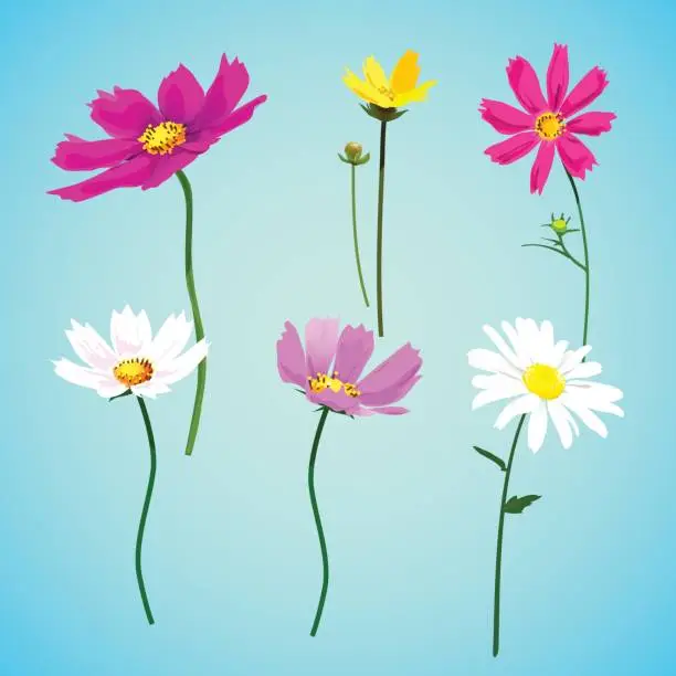 Vector illustration of Set of wild summer flowers