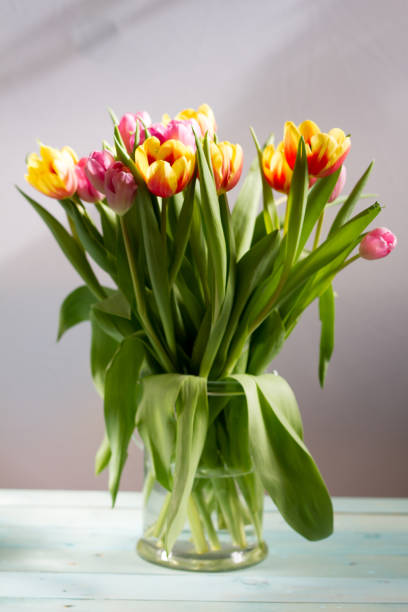 istock Colorful tulips in glass vase. 652317758