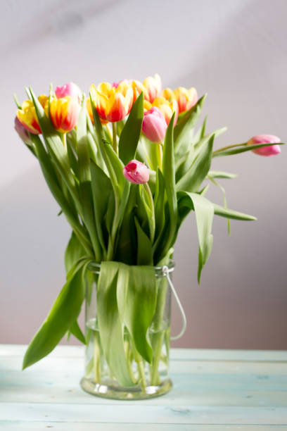istock Colorful tulips in glass vase. 652317836