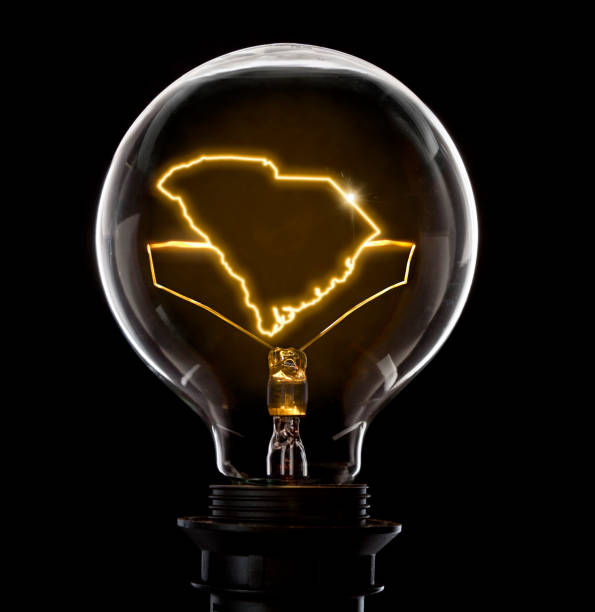 istock Lightbulb with a glowing wire in the shape of South Carolina (series) 652320332