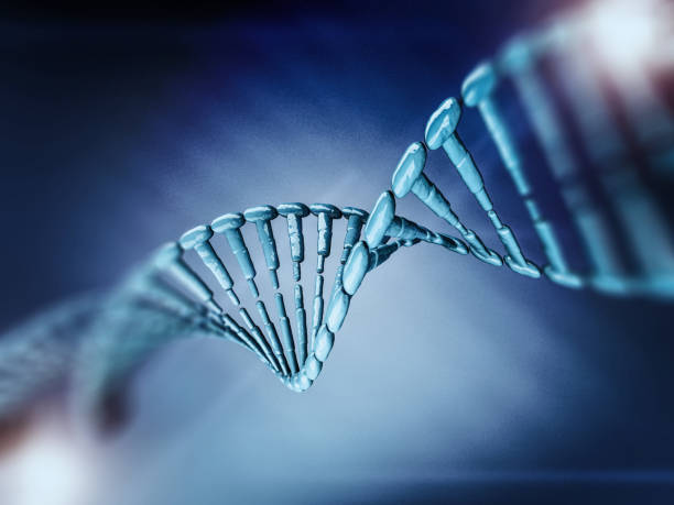 istock Digital illustration of a DNA model. 3D rendering 652321004