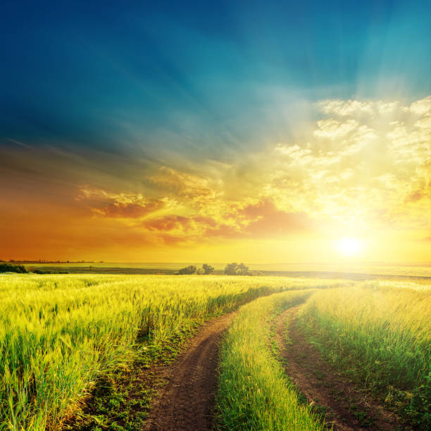 istock rural road in green grass and orange sunset 652321458