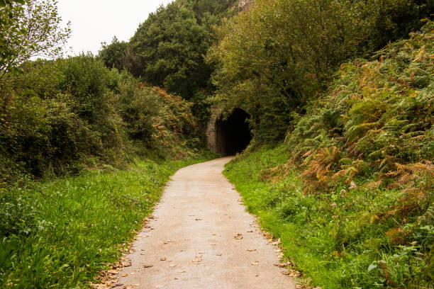 istock Tunnel in a turistic path in Asturias (North Spain) 652324326