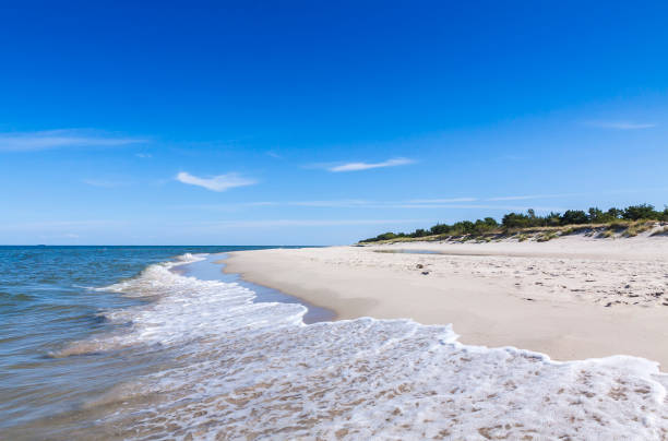 istock Sandy beach on Hel Peninsula, Poland 652328634
