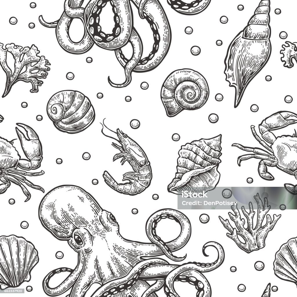 Crab And Insect Shell Patterns Seamless Pattern Sea Shell Coral Crab Octopus And Shrimp Vector ...