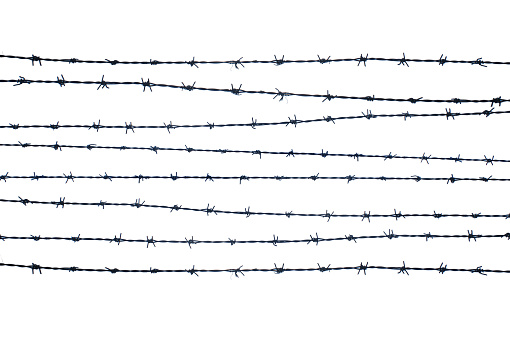 Barbed wires isolated. White background.