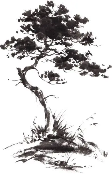 Vector illustration of Ink illustration of growing pine tree. Sumi-e stile.