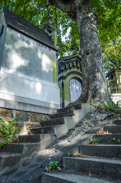 istock Amazing staircase ending on a tree in Pere Lachaise Cemetery in Paris 652359846