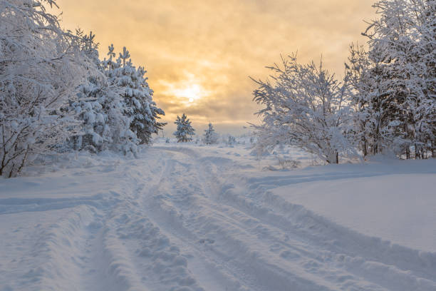 istock Winter road. Winter landscape 652366270