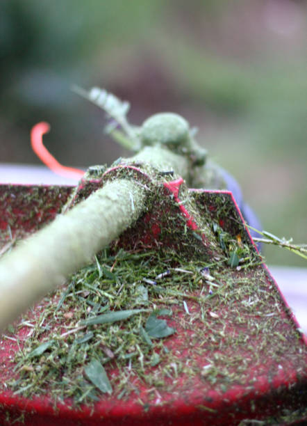 istock Close up of Grass brush cutter 652376870