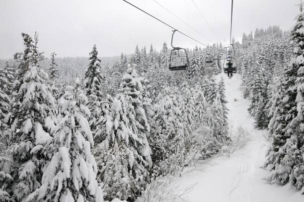 istock Skiers on a ski-lift 652384022