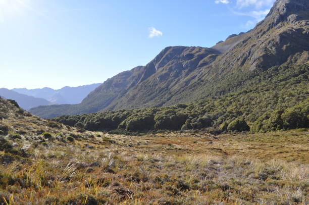Routeburn Track, New Zealand