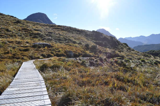 istock Routeburn Track, New Zealand 652384388