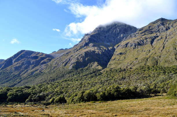 istock Routeburn Track, New Zealand 652384438