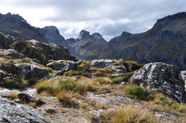 istock Routeburn Track, New Zealand 652384716