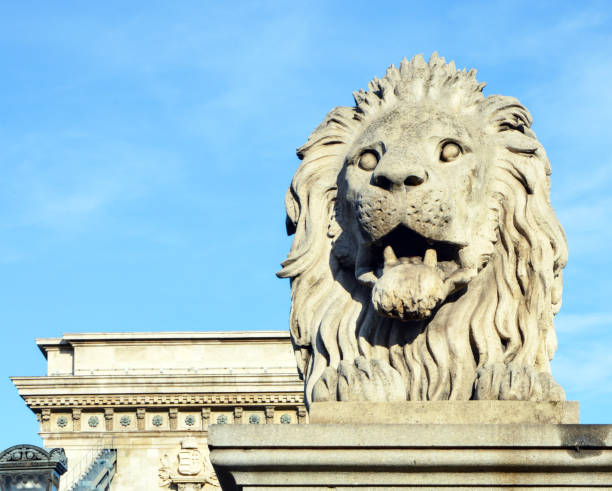istock Lion sculpture on the Szechenyi Chain Bridge in Budapest - Hungary 652388076