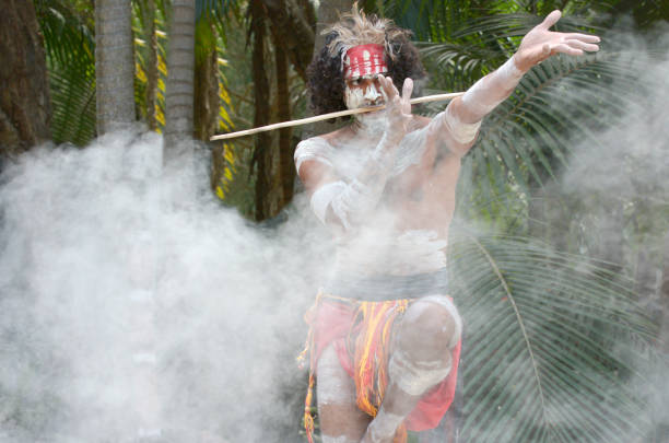 Aboriginal culture show in Queensland Australia Yugambeh Aboriginal warrior dance during Aboriginal culture show in Queensland, Australia. traditionally australian stock pictures, royalty-free photos & images