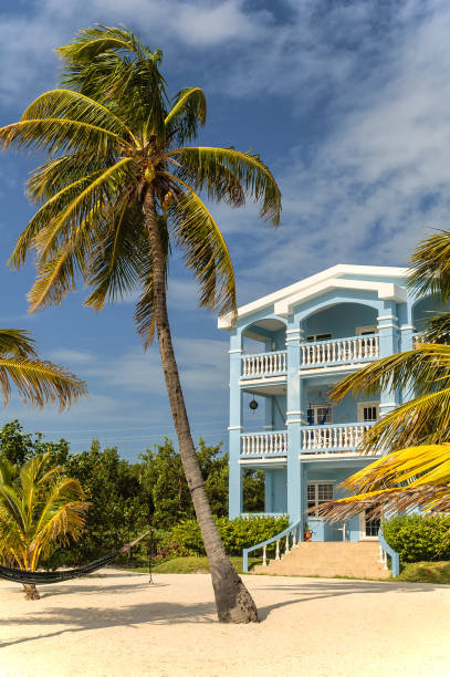 ambergris caye, belize. february 25, 2010. typical caribbean beach home offers lodging to tourists - lodging imagens e fotografias de stock