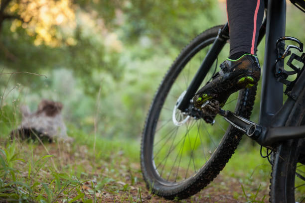 istock Low section of female mountain biker riding bicycle 652414266