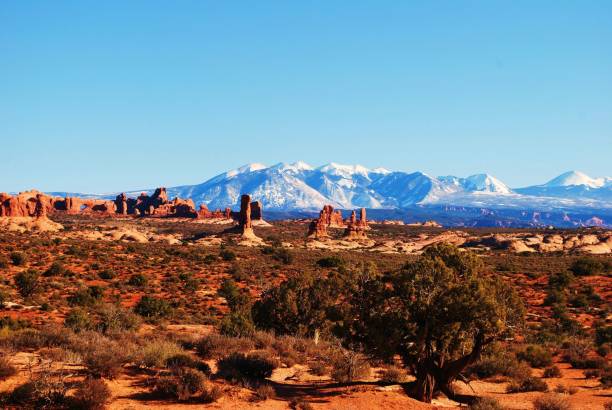 istock Arches National Park Sandstone Landscape 652414906