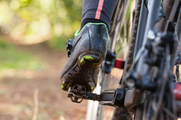 istock Low section of mountain biker riding bicycle 652417688