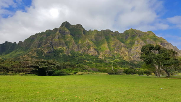istock Beautiful Park in Hawaii 652420208