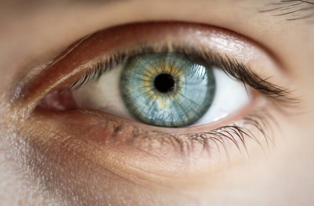 close-up of a blue eye with no makeup - close up of iris imagens e fotografias de stock