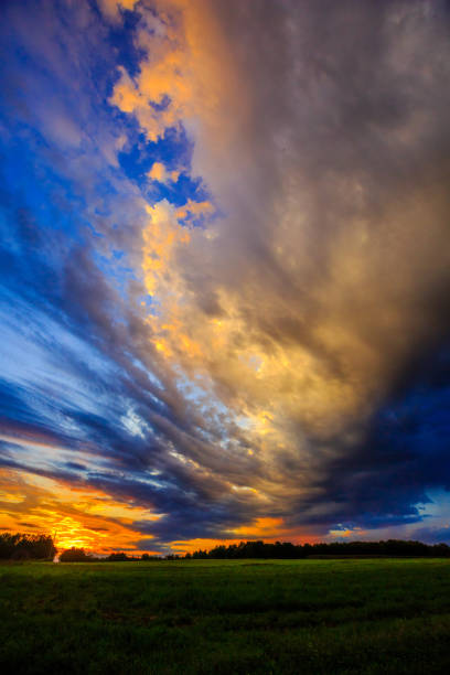 Vertical image of a colorful sky above a Wisconsin farm field.