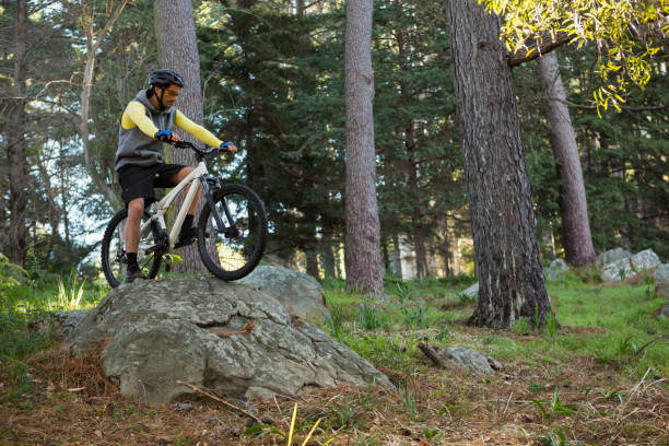 istock Male mountain biker riding bicycle in the forest 652423450
