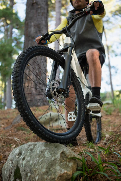 istock Male mountain biker riding bicycle in the forest 652423488