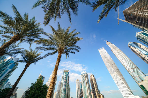 istock Dubai Marina Urban Skyline 652423698