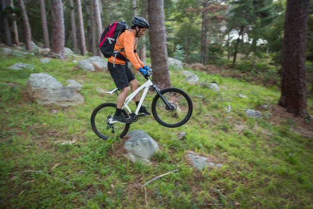 istock Male mountain biker riding bicycle in the forest 652423714