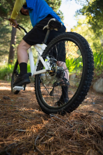 istock Male mountain biker riding bicycle 652432180