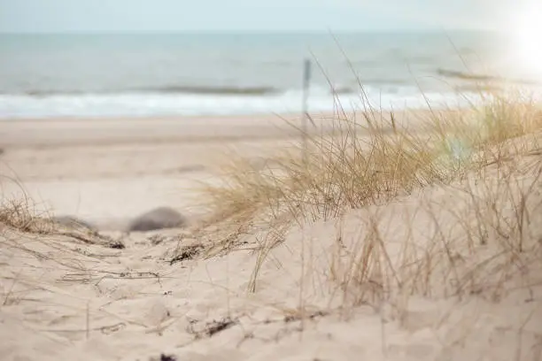 Beach in Kuhlungsborn, Germany. Empty wild beach at cold weather in winter. Dry grass in the sand is in the focus in foreground. It is a windy day with freezing temperatures