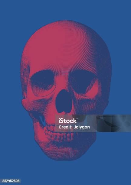 Pink Engraving Skull Front View On Blue Bg Stock Illustration - Download Image Now - Halloween, Skull, T-Shirt