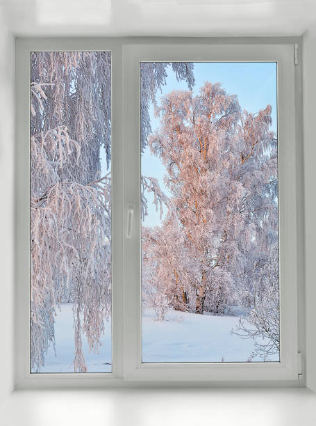 istock Snowy winter morning under the window 652480654