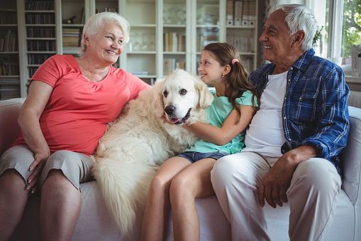 Happy grandparents and granddaughter sitting with pet dog at home