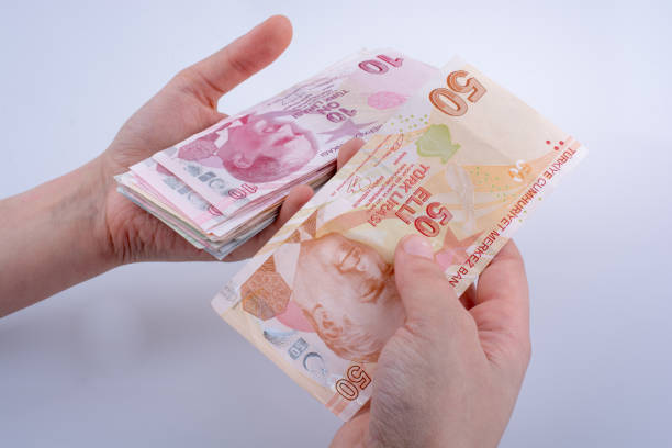 istock Hand holding Turksh Lira banknotes  in hand 652503380