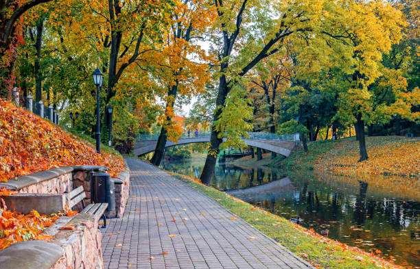 istock Autumn in central public park of Riga, Latvia 652504068