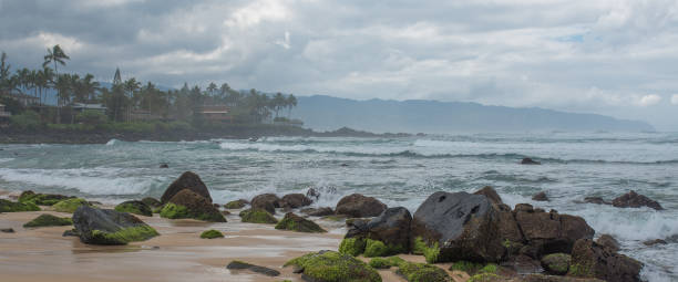 istock Turtle Beach near Haleiwa 652507156