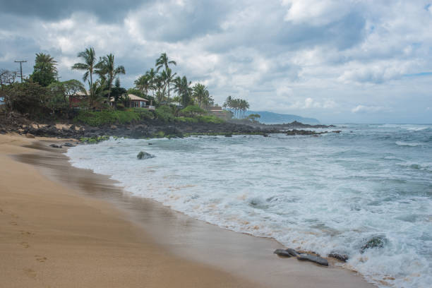 istock Turtle Beach near Haleiwa 652507308