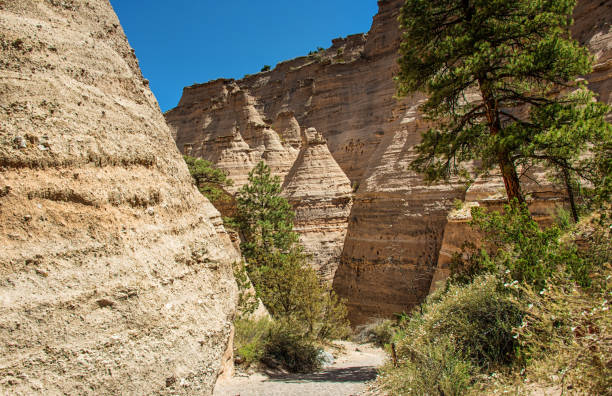 slot canyon trail nel kasha-katuwe tent rocks national monument - new mexico landscape arid climate plateau foto e immagini stock