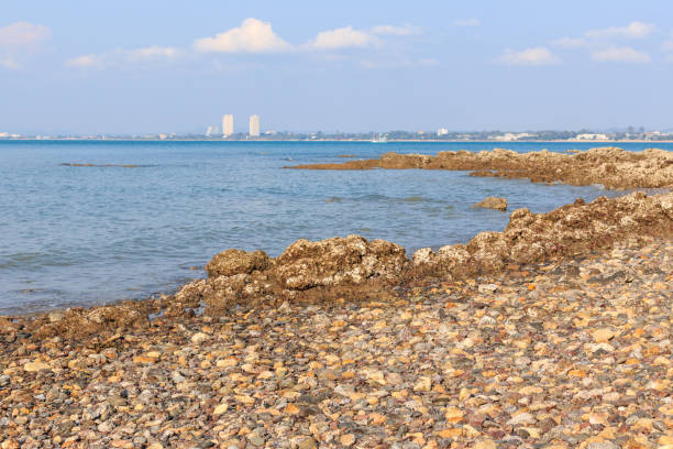 istock Sattahip coast on Pattaya City background 652517366