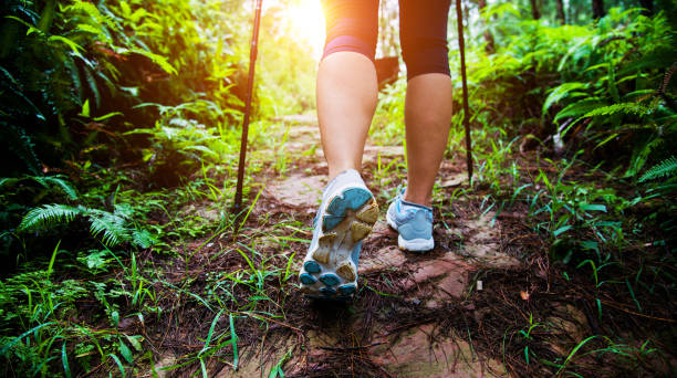 istock Woman legs hiking in the forest 652524224